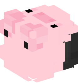 Minecraft head — People