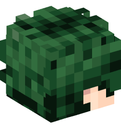 Minecraft head — People