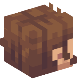 Minecraft head — People