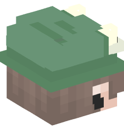 Minecraft head — People