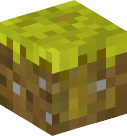 Minecraft head — Blocks