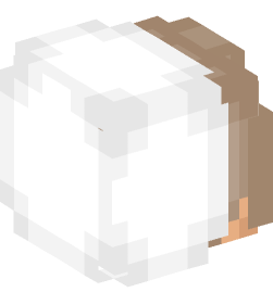 Minecraft head — People