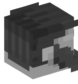 Minecraft head — Decor