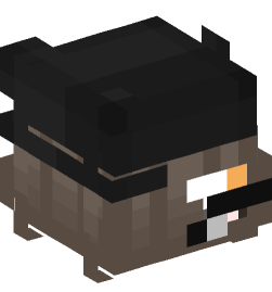 Minecraft head — People