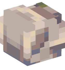 Minecraft head — Decor