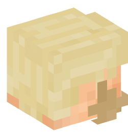 Minecraft head — People