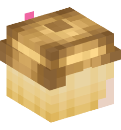 Minecraft head — People