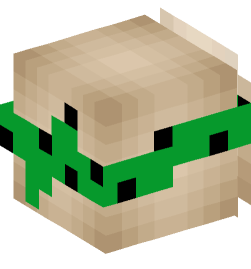 Minecraft head — People