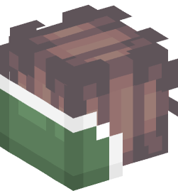 Minecraft head — People