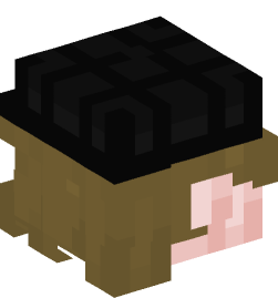 Minecraft head — People