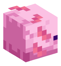 Minecraft head — Animals