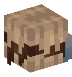 Minecraft head — People