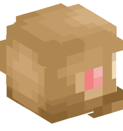 Minecraft head — Miscellaneous