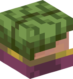 Minecraft head — Creatures