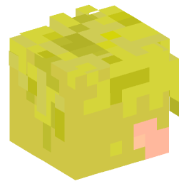 Minecraft head — People