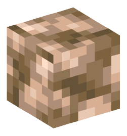 Minecraft head — Blocks