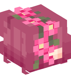 Minecraft head — People