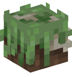 Minecraft head — Decor