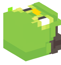 Minecraft head — People