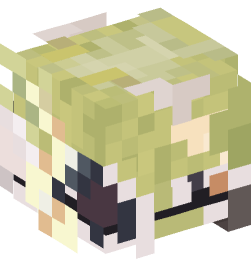 Minecraft head — Decor