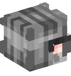 Minecraft head — People