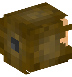 Minecraft head — People