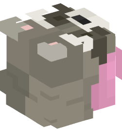 Minecraft head — People