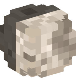 Minecraft head — Decor