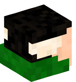 Minecraft head — People