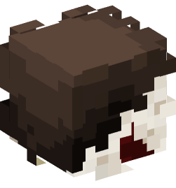 Minecraft head — People