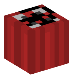Minecraft head — Decor