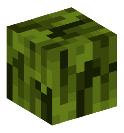 Minecraft head — Plants