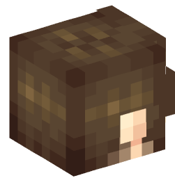 Minecraft head — People