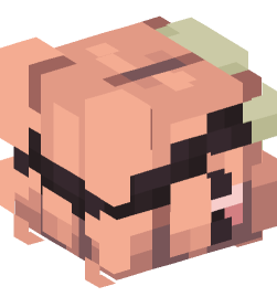 Minecraft head — People