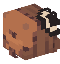 Minecraft head — People