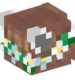 Minecraft head — People