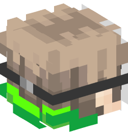 Minecraft head — People