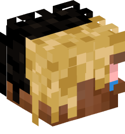 Minecraft head — People