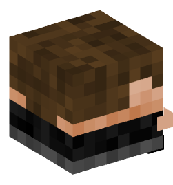 Minecraft head — Decor