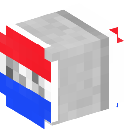 Minecraft head — Decor