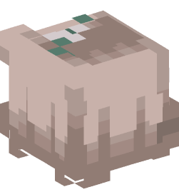 Minecraft head — People