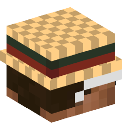 Minecraft head — People