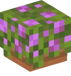 Minecraft head — Plants