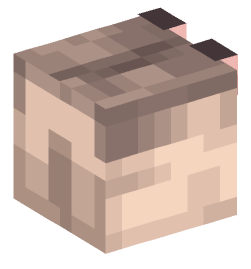 Minecraft head — Animals