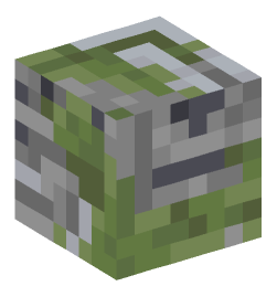 Minecraft head — Blocks