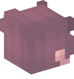 Minecraft head — Creatures