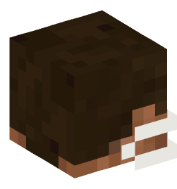 Minecraft head — People