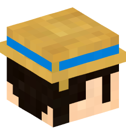 Minecraft head — People