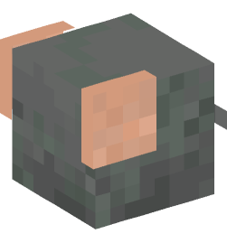 Minecraft head — Animals