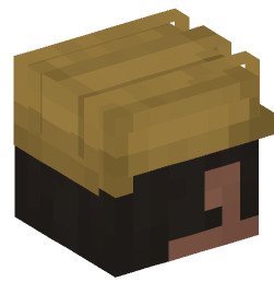 Minecraft head — People